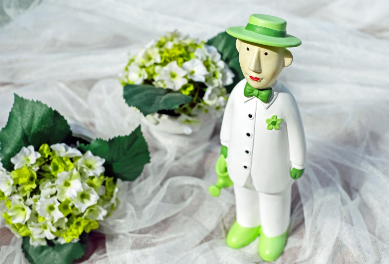 vitrine-LA CELLE-min_man-person-flower-green-toy-fig-546529-pxhere.com